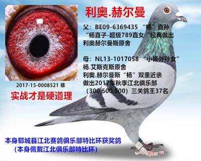 利奥.赫尔曼(杨双重近亲)