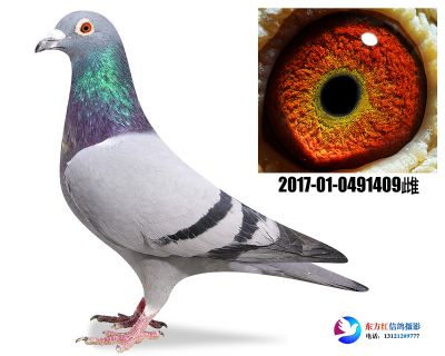 胡本年轻艺术家近亲