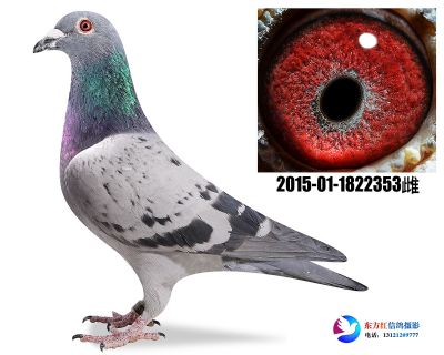 胡本年轻艺术家近亲