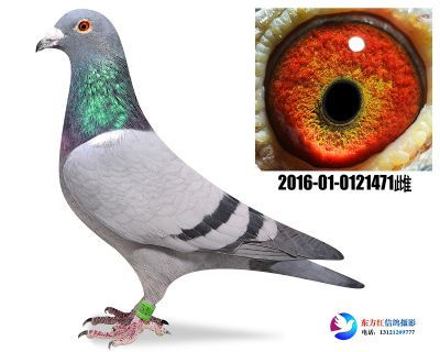胡本年轻艺术家近亲