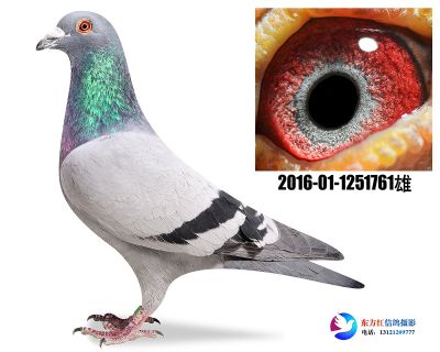 胡本年轻艺术家近亲