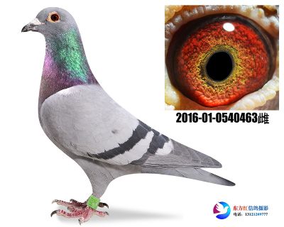 胡本年轻艺术家近亲