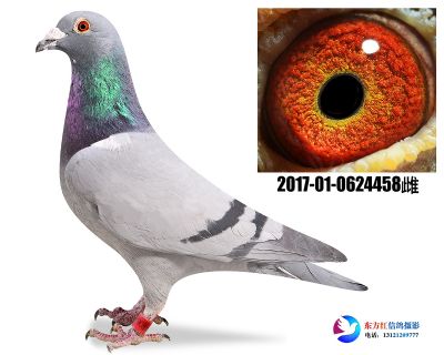 胡本年轻艺术家近亲