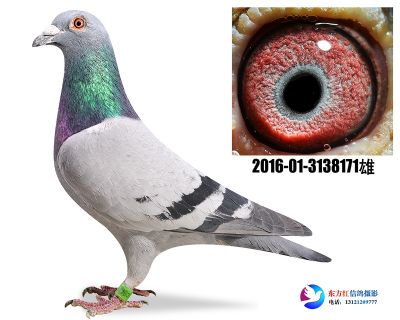 胡本年轻艺术家近亲