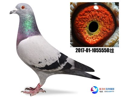 胡本年轻艺术家近亲