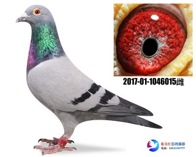 胡本年轻艺术家近亲