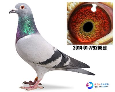胡本年轻艺术家近亲