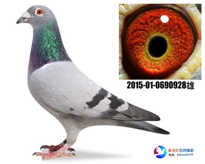 胡本年轻艺术家近亲