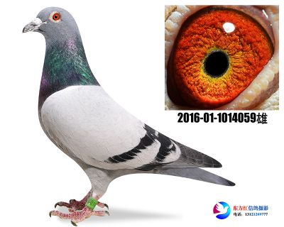 幕利门 军校生 近亲