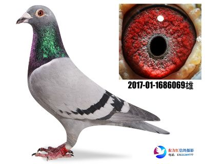 胡本年轻艺术家近亲