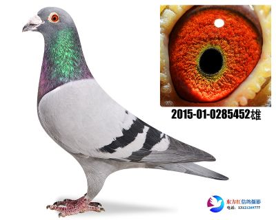 胡本年轻艺术家近亲