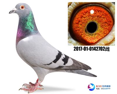 胡本年轻艺术家近亲