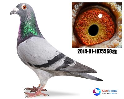 穆丽门近亲 做出21名