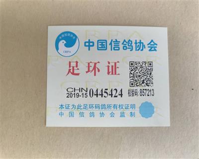 信鸽在线拍卖平台 - 中国信鸽信息网