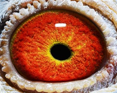 点击查看此商品大图片