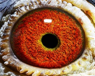 点击查看此商品大图片