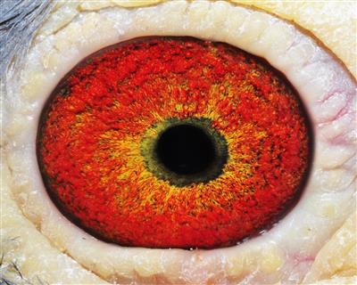 点击查看此商品大图片