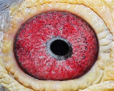 点击查看此商品大图片