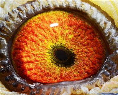 点击查看此商品大图片