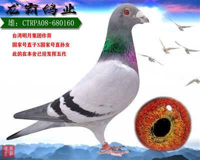 点击查看此商品大图片