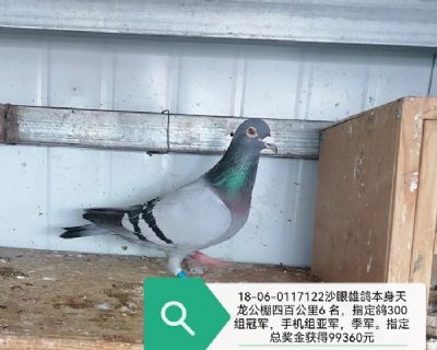 �����İٹ���6��ָ����ھ�