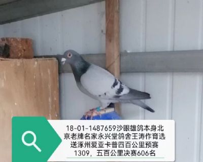 ���ݰ��ǿ��վ���606����������������ѡ