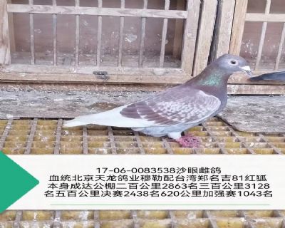 ����������ҵ������֣����81���