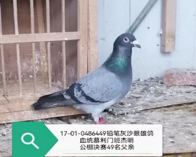 �������49�����װ����