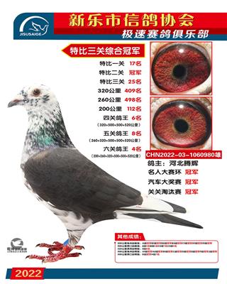 21冠王