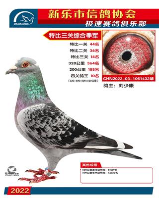 特比综合季军