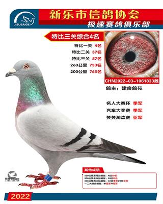 汽车大奖赛季军