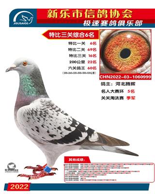 41冠王全场最靓得星