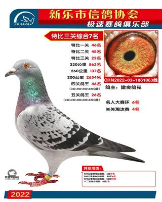 特比综合7名