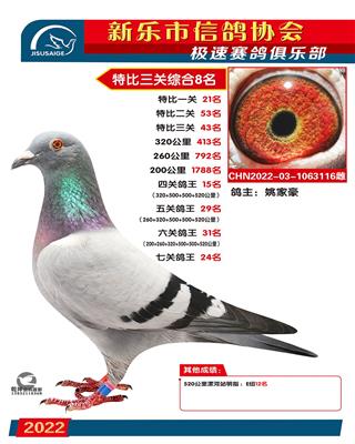 特比综合8名