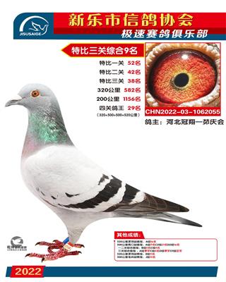 特比综合9名