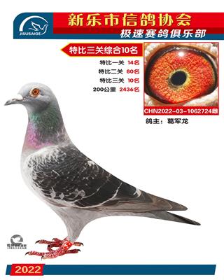 特比综合10名