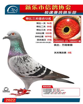 特比综合12名