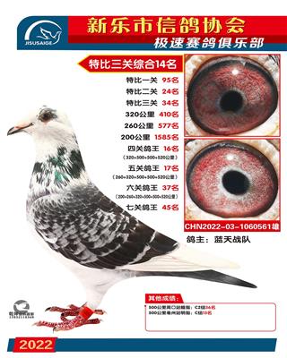 特比综合14名