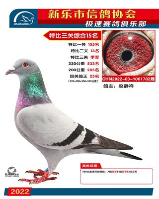 决赛季军