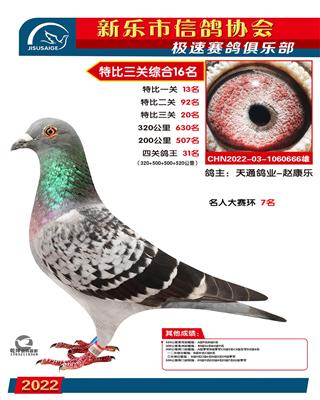 名人大赛综合7名