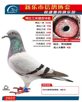 名人大赛综合8名