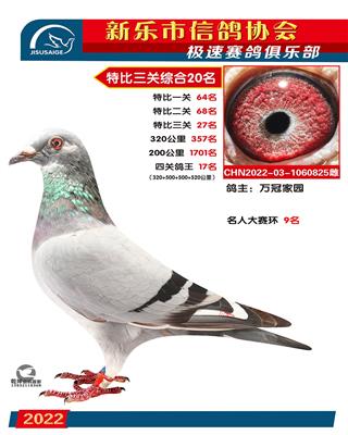 名人大赛环9名