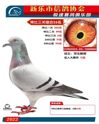 绝杀关6名