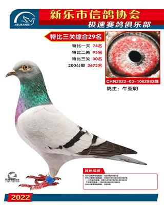 特比综合29名