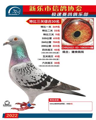 绝杀关11名