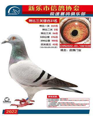 500公里亚军
