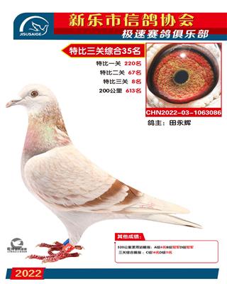 决砂关8名