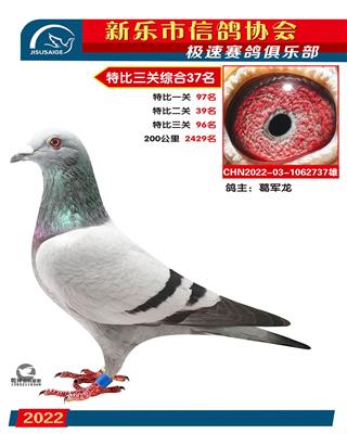 特比综合37名