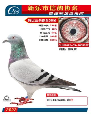 500公里12名