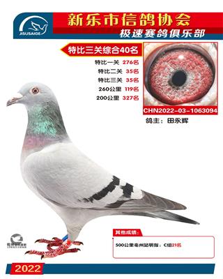 特比综合40名